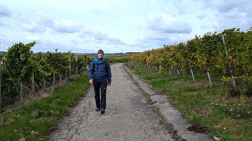 202410 Mainwanderung 202410 Mainwanderung