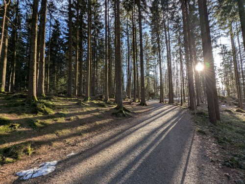 202502 Bayerischer Wald 202502 Bayerischer Wald