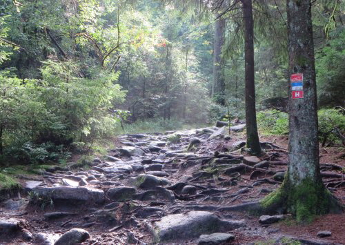 Höhenweg Fichtelgebirge Höhenweg Fichtelgebirge